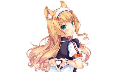 Cat anime girl, nekopara