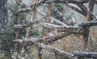 Snowfall, wooden fence, winter