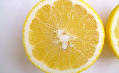 Lemon fruits, slice, close up