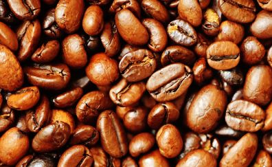 Coffee beans, close up