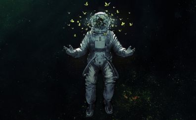 Astronaut and butter fly in space