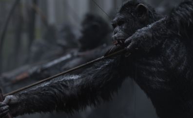 2017 movie, War for the Planet of the Apes