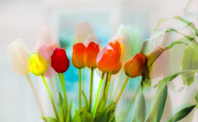 Colorful tulips flowers, art