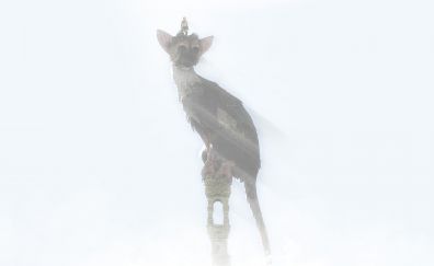 The last guardian video game, trico