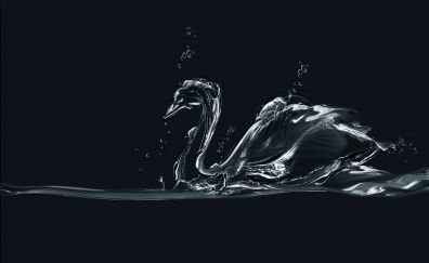 Swan of water artwork 