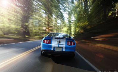 Ford mustang shelby gt500 car