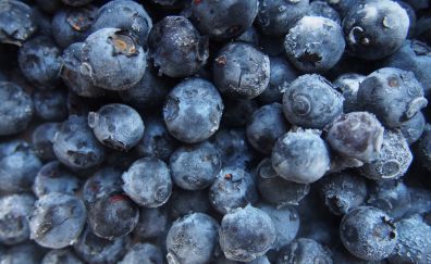 Blueberries, berries, close up