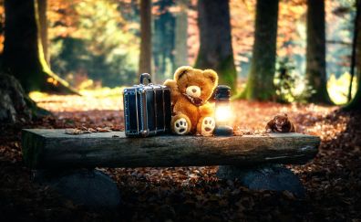 Teddy bear, lamp, suitcase, bench