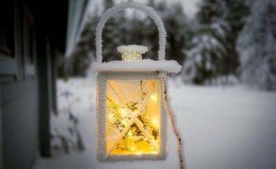 Lantern light, winter