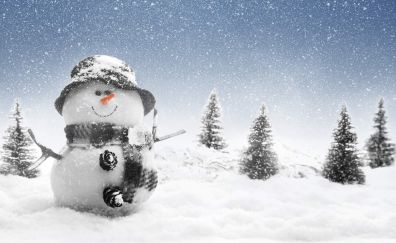 The snowman, winter