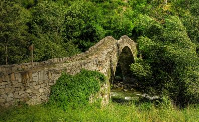 Stone bridge, forest, river, nature