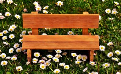 Bench, meadow, grass, flowers