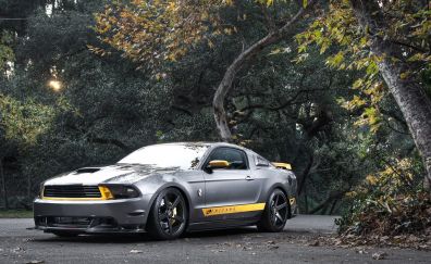 Ford Mustang GT car