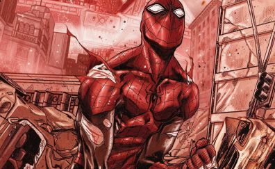 Wounded, dc comics, spider man