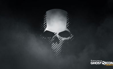 Tom Clancy's Ghost Recon: Wildlands video game, 2017 game, skull