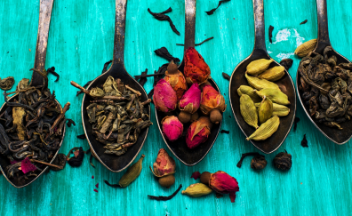 Colorful spices in spoons