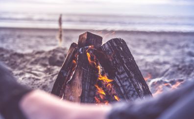 Camp fire, beach, wood