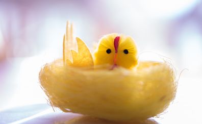 Yellow chick, toy, decorations