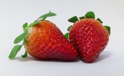 Strawberry, red, fruits, close up