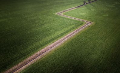 Farm field, road, aerial view