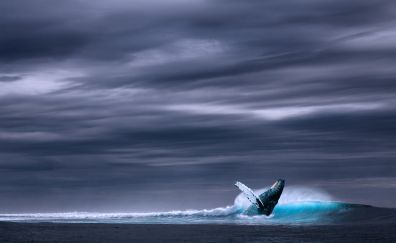 Sea wave, whale, rainy side