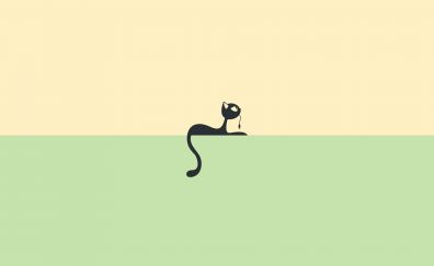 Minimal wallpaper of cat eating mouse of computer