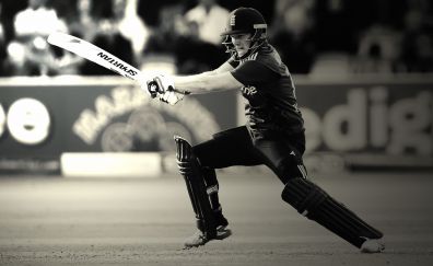 100 Cricket Wallpaperss HD  Download Free Images  Stock Photos On  Unsplash