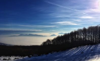 Horizon, winter, snow, landscape, tree, nature, fog
