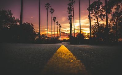 Road in city during sunset