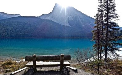 Lake, mountains, bench, tree