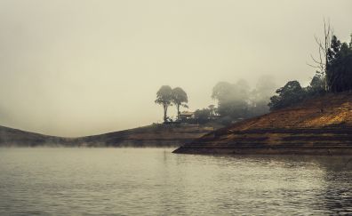 Fog, mist, lake, nature