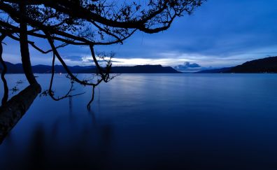 Dawn on lake, nature