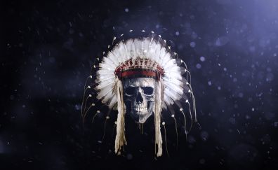 Skull, art, feathers