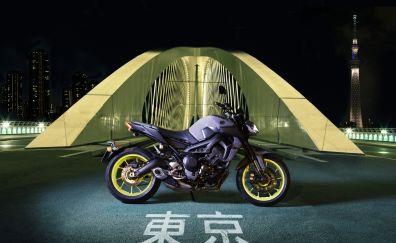 Yamaha MT-09 bike, bridge