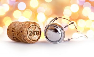 New year 2017, bottle cap