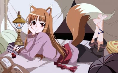 Spice and wolf anime girl