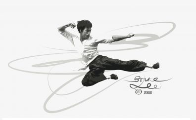Bruce Lee, artwork
